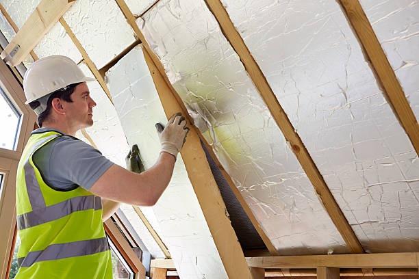 Best Insulation Maintenance and Repair in Canton, GA